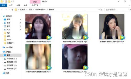 怎么在视频里打马赛克,如何高效添加马赛克效果